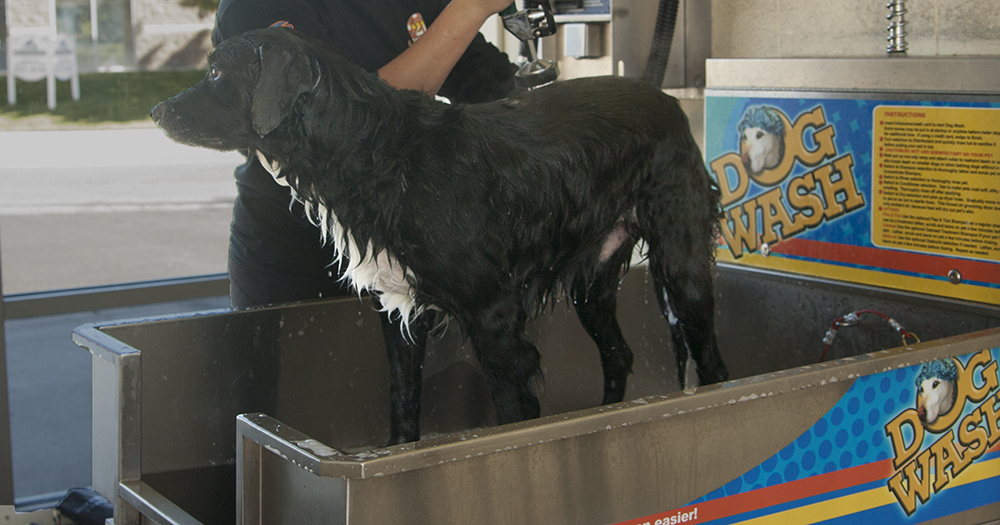 self-serve-dog-wash